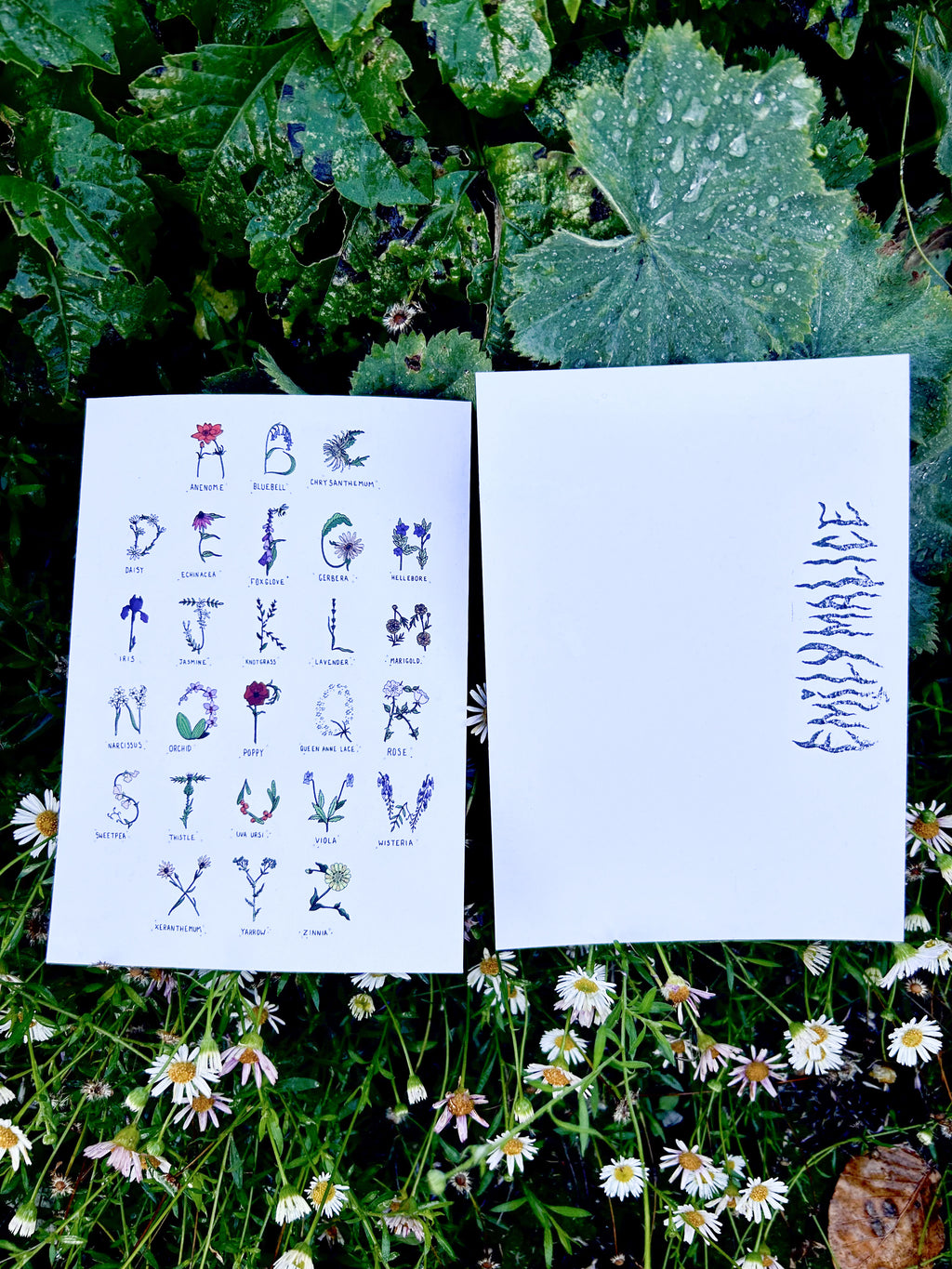 Flora Alphabet postcard