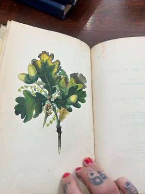 *printed in 1837* The spirit of the Woods