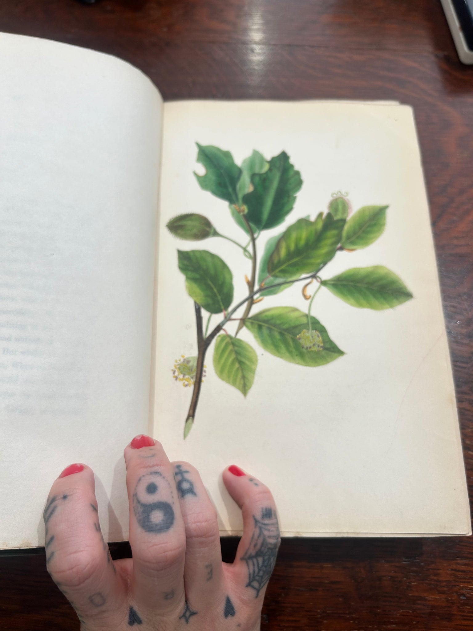 *printed in 1837* The spirit of the Woods