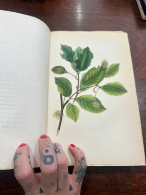 *printed in 1837* The spirit of the Woods