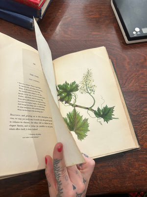 *printed in 1837* The spirit of the Woods