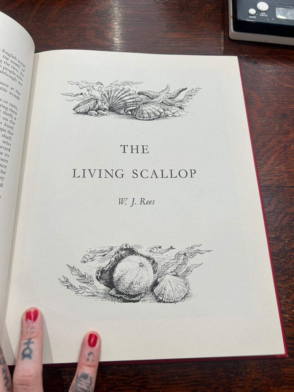 The Scallop