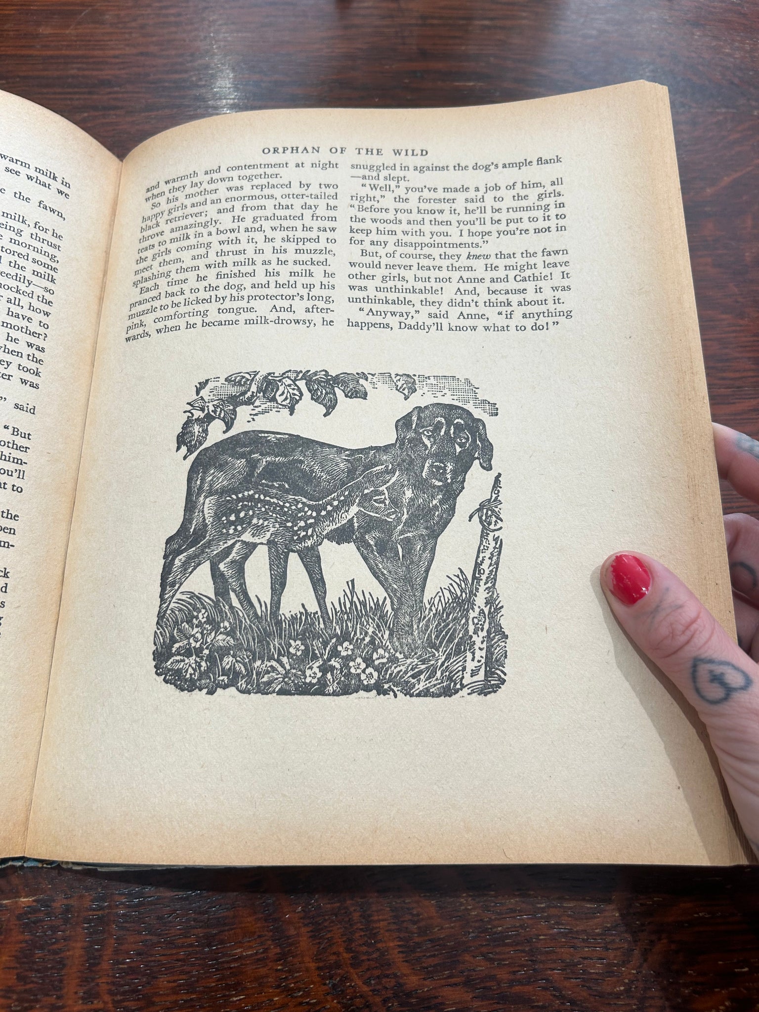 The splendid book for girls