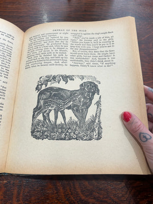 The splendid book for girls