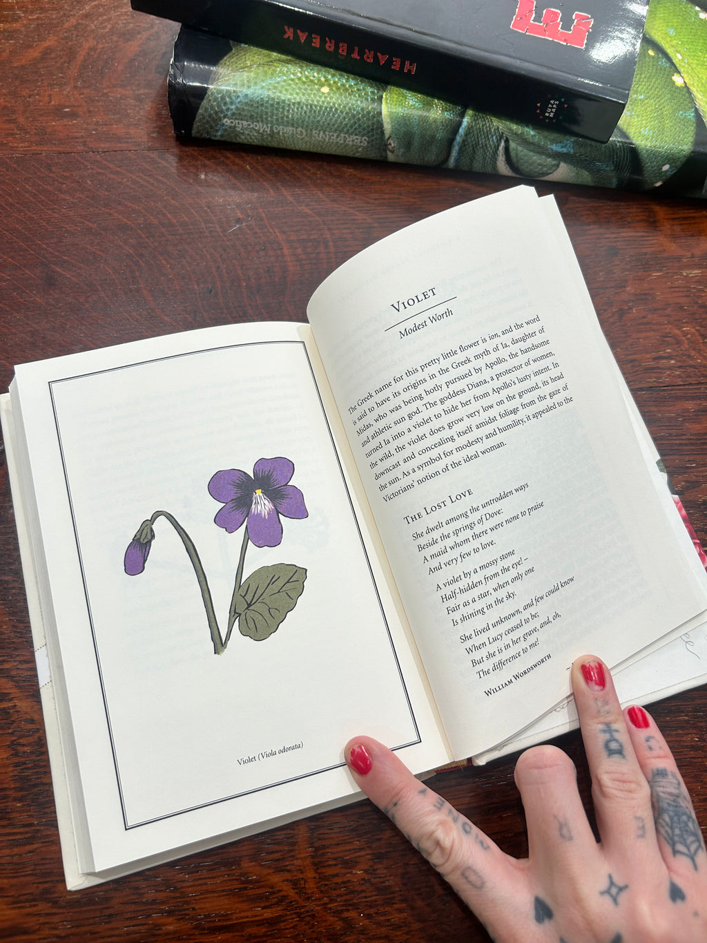 A victorian flower dictionary