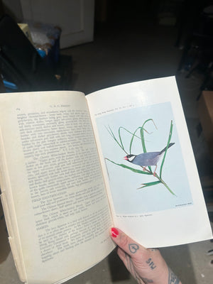Hong kong naturalist